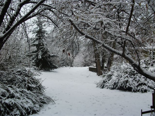 Winter im Freyzeitpark