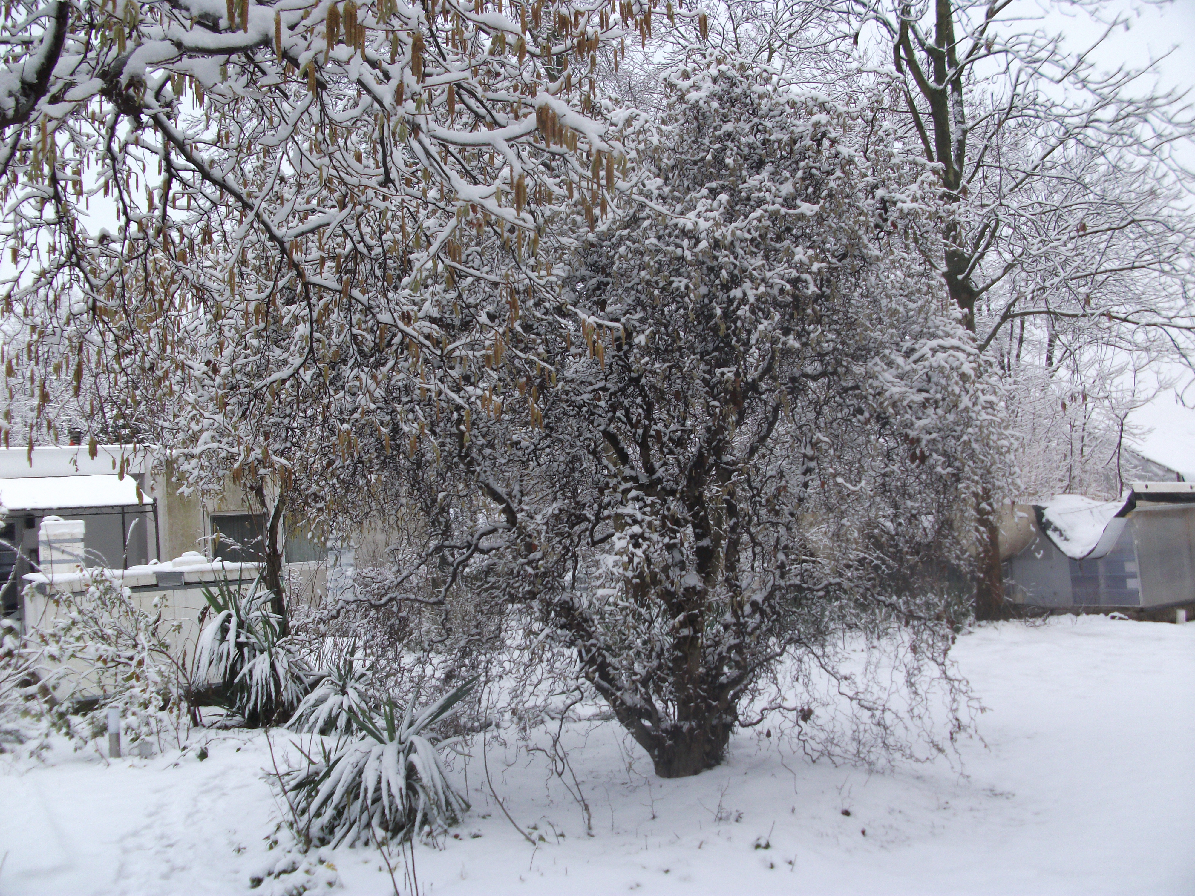 Winter im Freyzeitpark